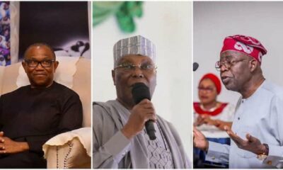 Former Presidential Candidate Predicts Obi, Atiku’s Chances at the Supreme Court