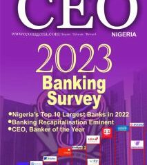 CEO Nigeria 2023 Banking Survey: See the Top Banks by Total Assets