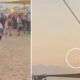 Israel Music Festival Attack Video Captures Minutes before Terror Struck