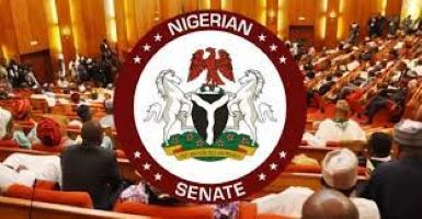 Northern Senator's Caution Against Military Action In Niger Republic