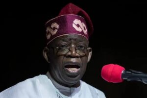 Challenges are not an excuse. Nigeria is on track.-Tinubu