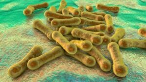 Diphtheria Outbreak in Abuja: Cases reported