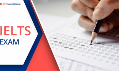 ILETS Fees Increased in Nigeria for Those Who Want to Work, Study Abroad